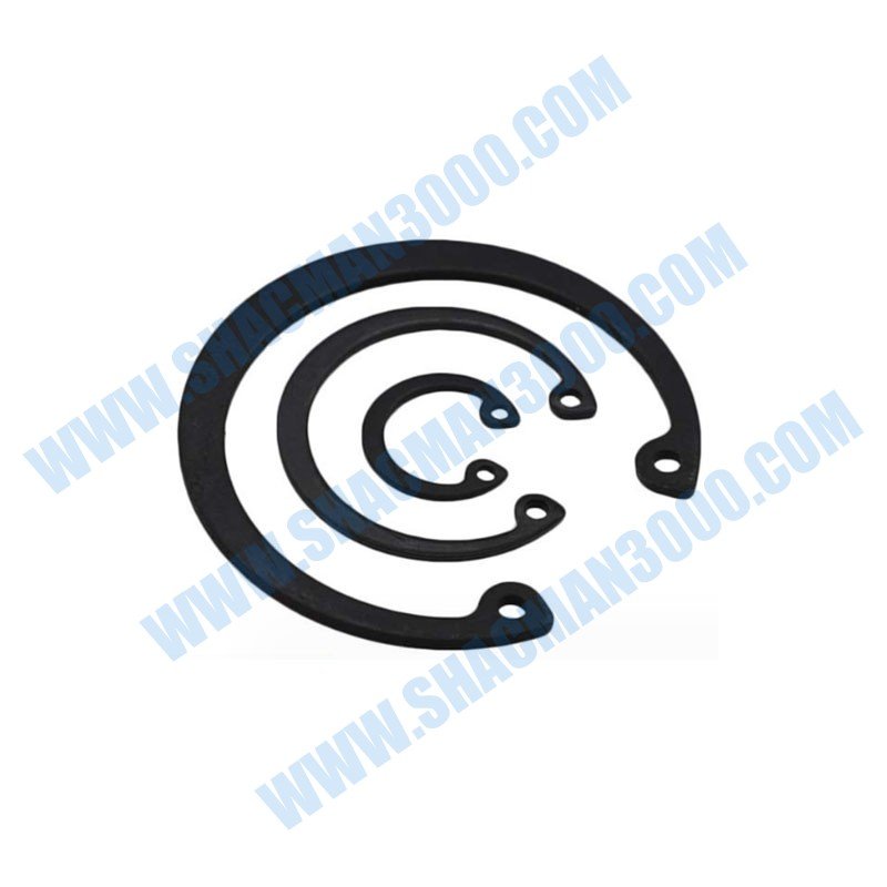 06290200214 Snap Ring