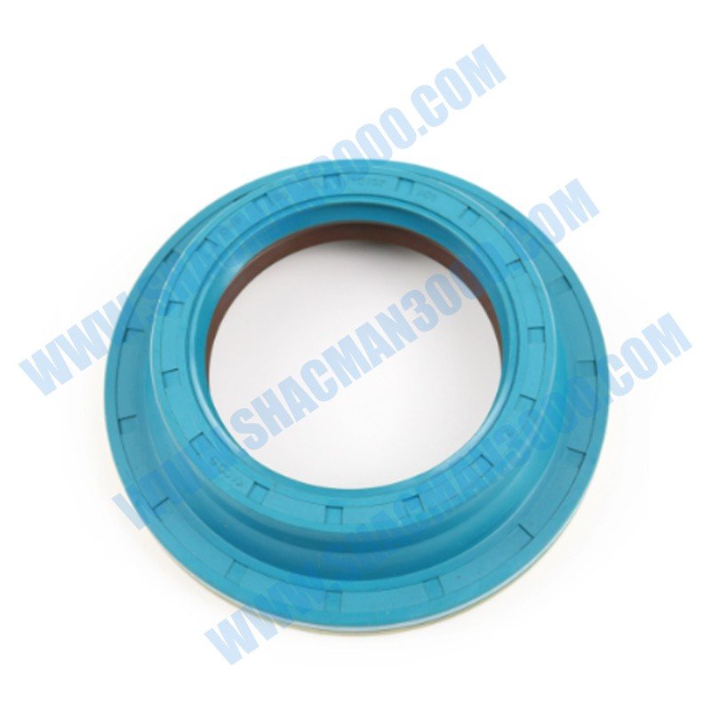 06562890319 Sealing Ring