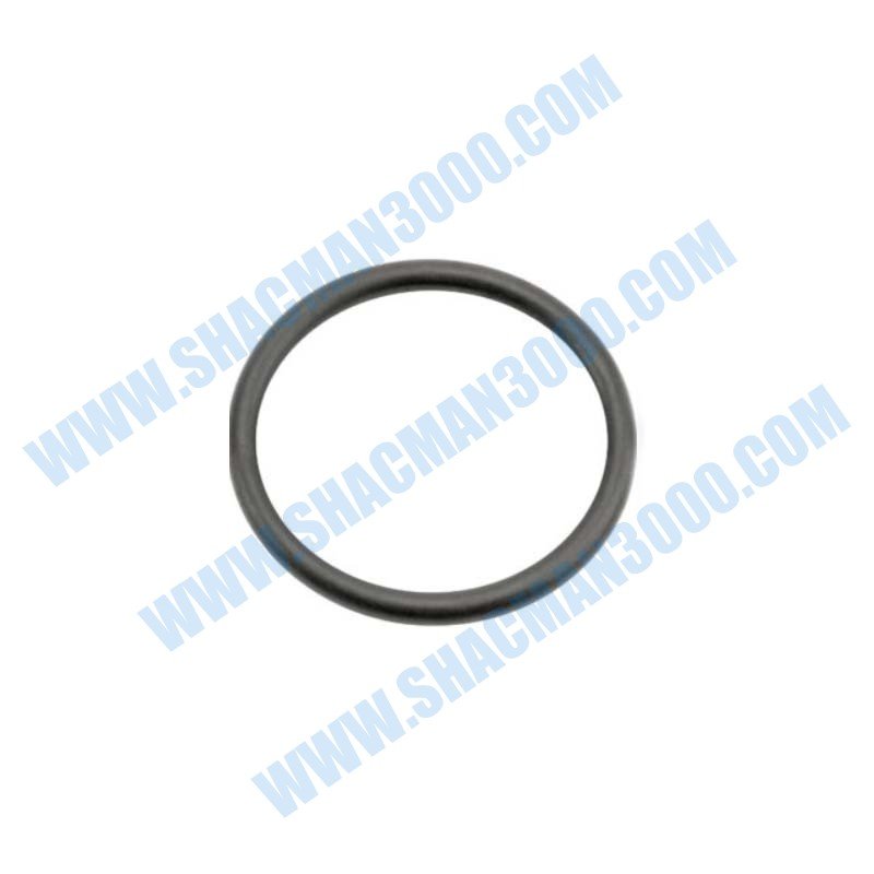 06563413271 O-Rings