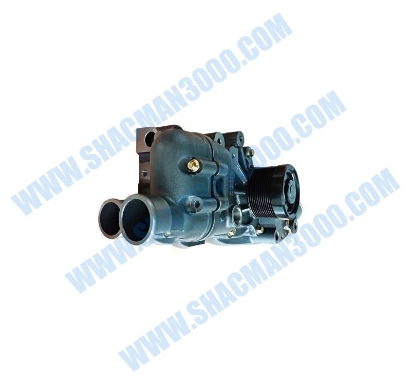 Water Pump 1000966796