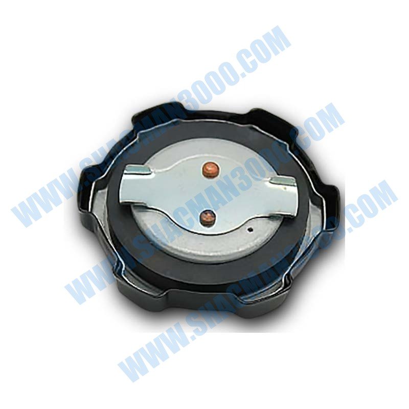 199100550101 Automotive Parts Fuel Tank Cover