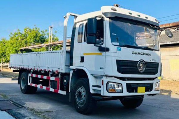 Cargo Truck Manufacturers
