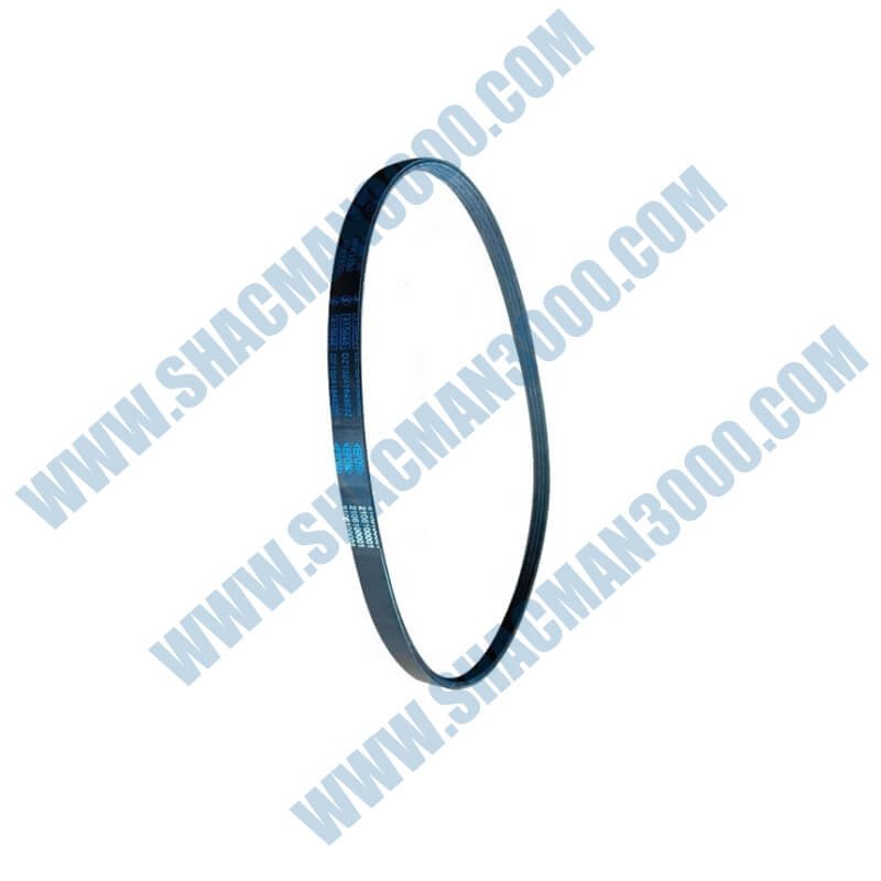 Belt / Ribbed Belt DZ13241845032