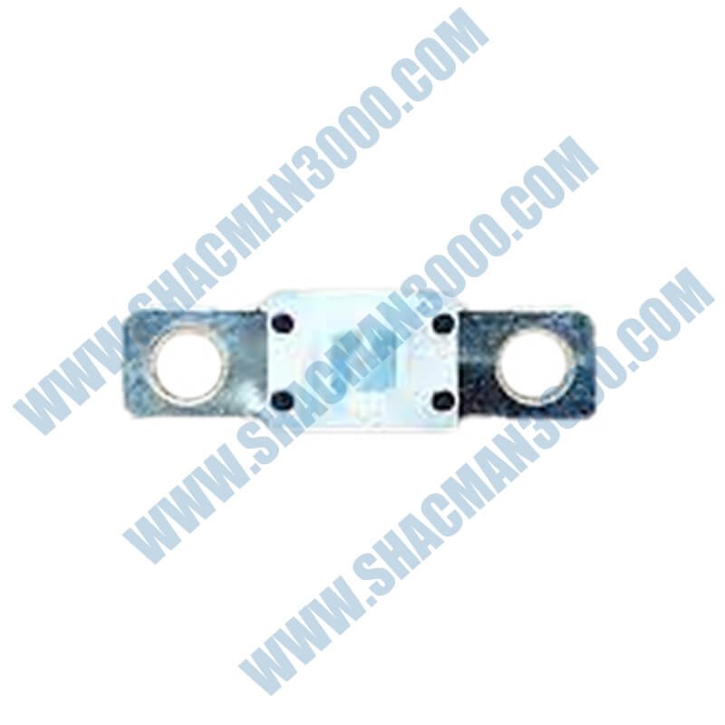 80A Fuse DZ93189712134