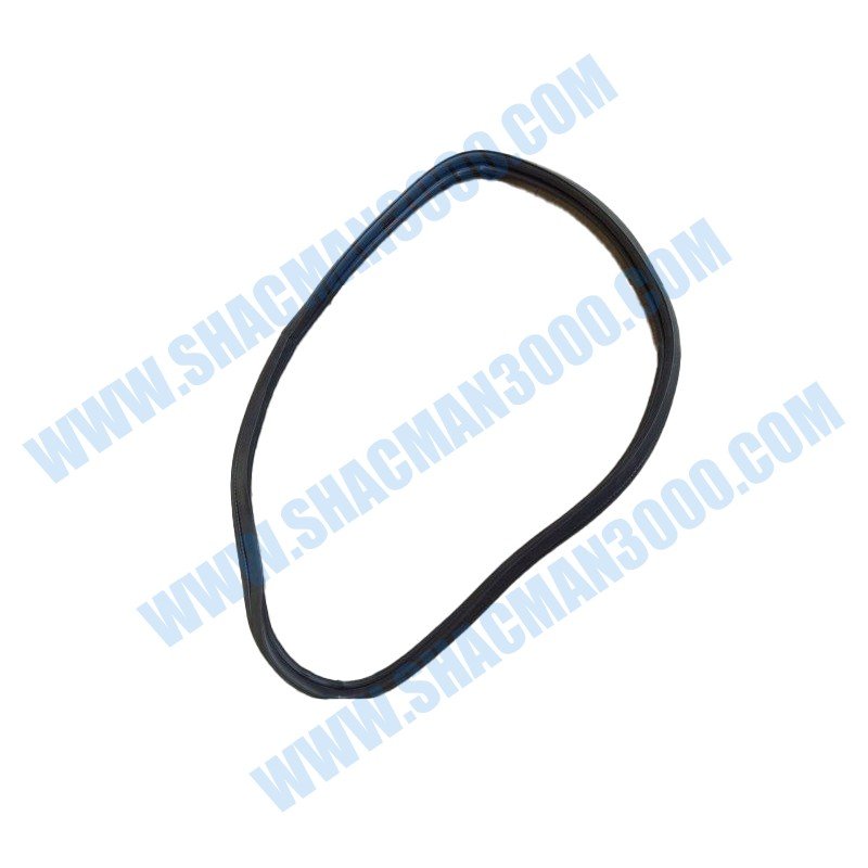DZ14251710014 Seal Strip