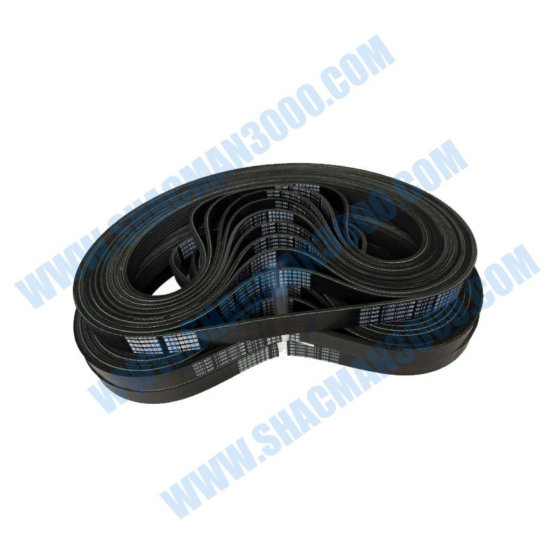 Correa de Transmisión