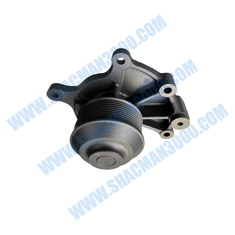 Water Pump (Without Bodywork) WP12 Euro4 X3000