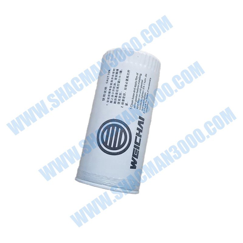 BY1000424655 Oil Filter Shacman