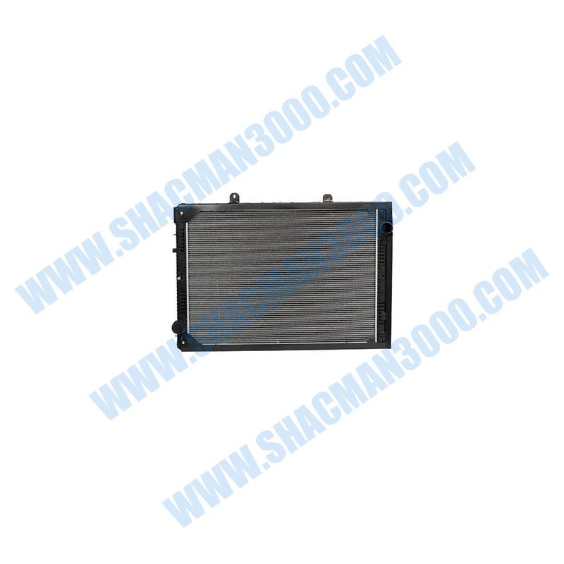 Shacman 4010106/Radiator Assembly 4010106-DZ97259532020