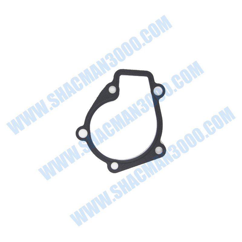 Shacman Junta de la Bomba de Agua BY1001134455