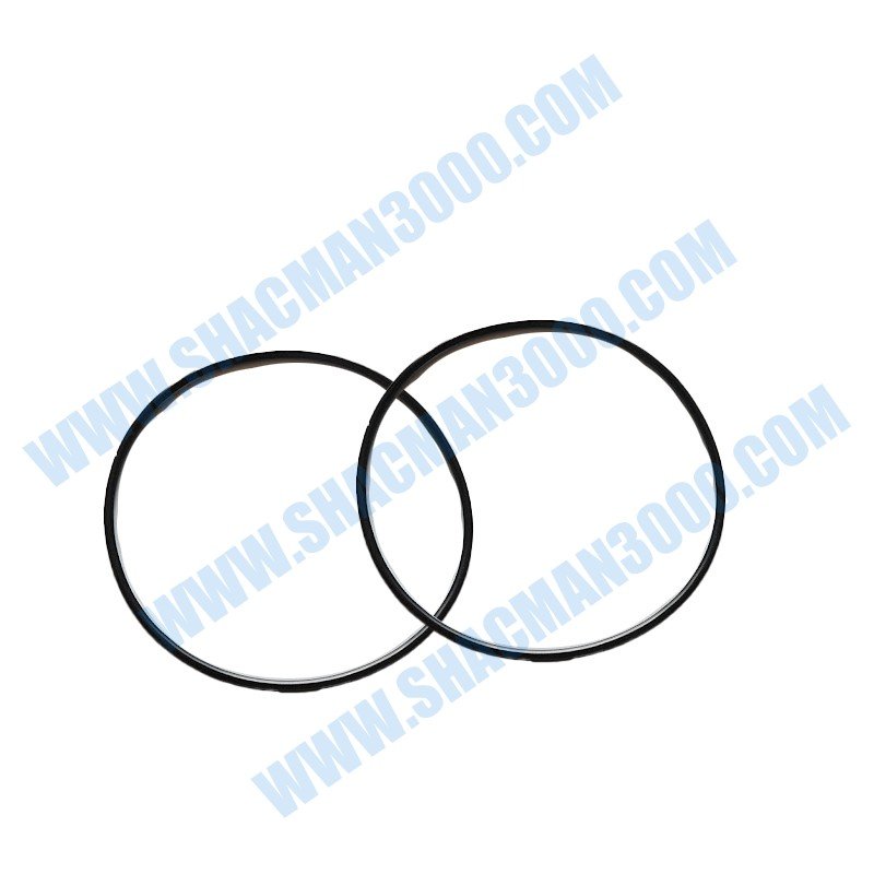 Shacman Sealing Ring