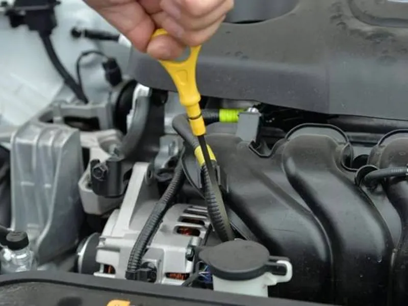 SHACMAN Parts Check for Intake System