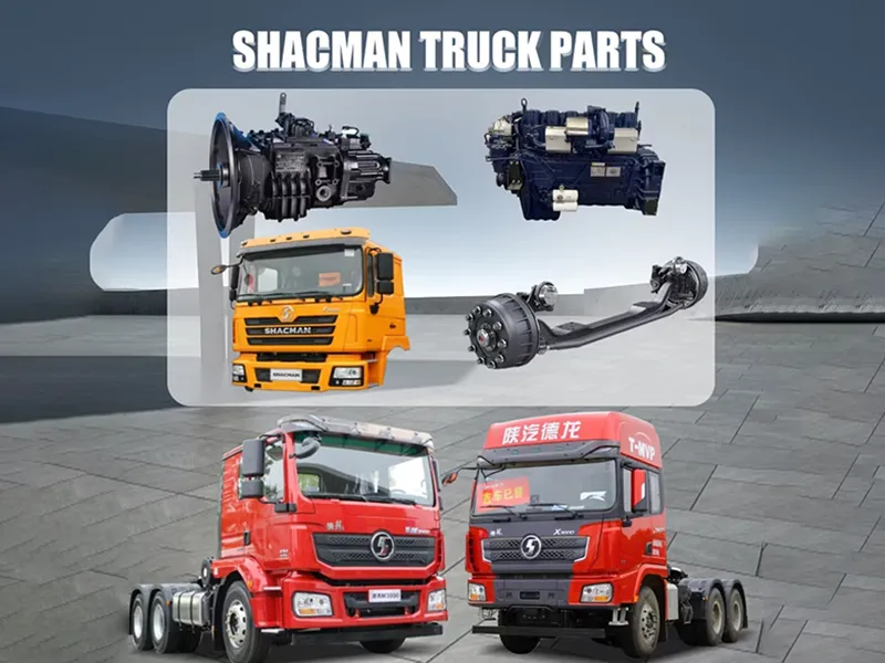Shacman OEM parts manufacturer