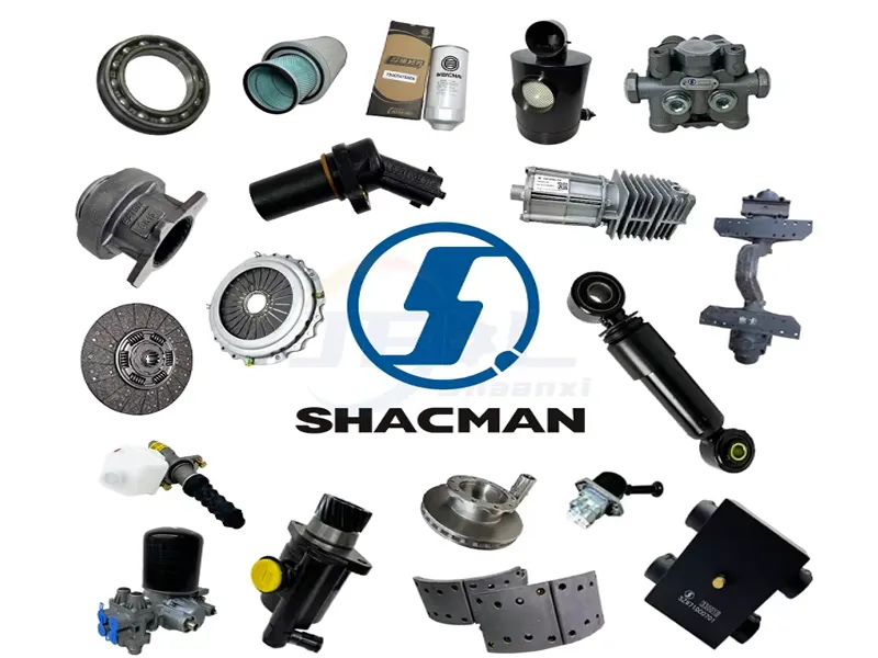 Shacman Consumable Parts Kit