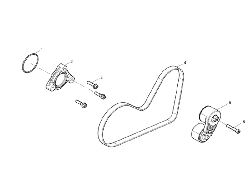 Shacman WP10 Alternator Tensioner and Belt Group