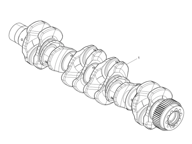 Shacman WP10 Crankshaft Group