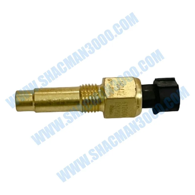 Temperature Sensor for Shacman X5000