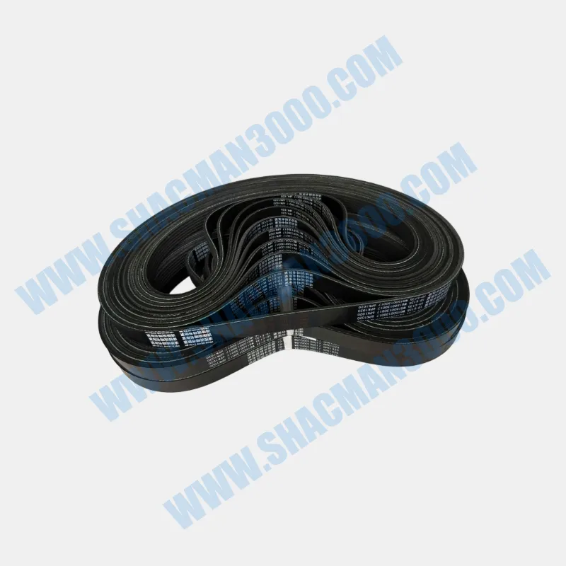 Poly V Belt