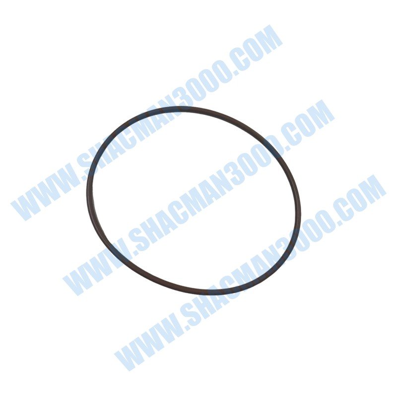Anillo de camisa de cilindro 611600010013