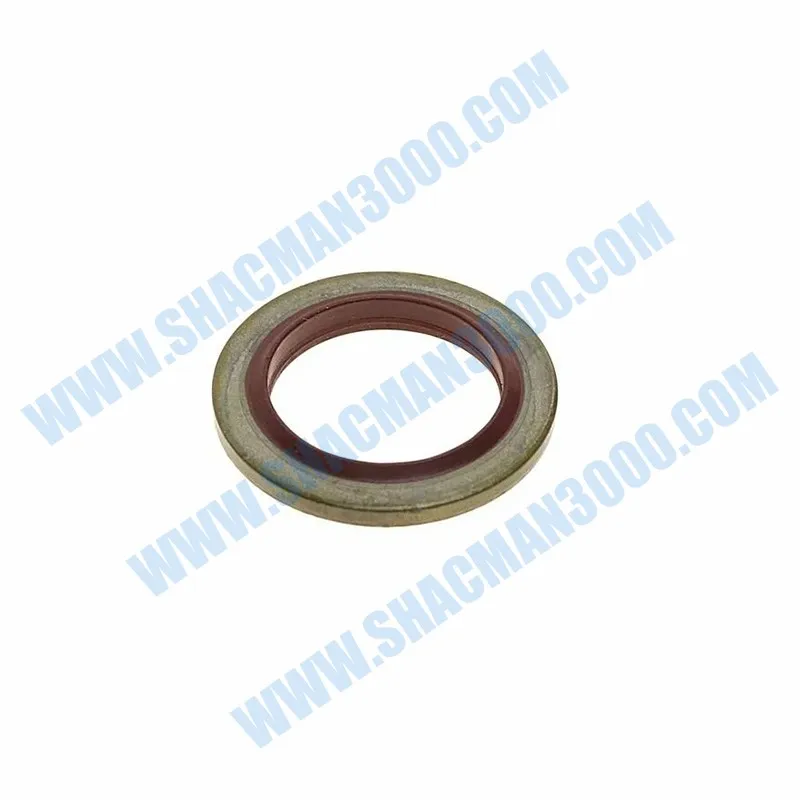 Sealing Washer for Shacman X5000