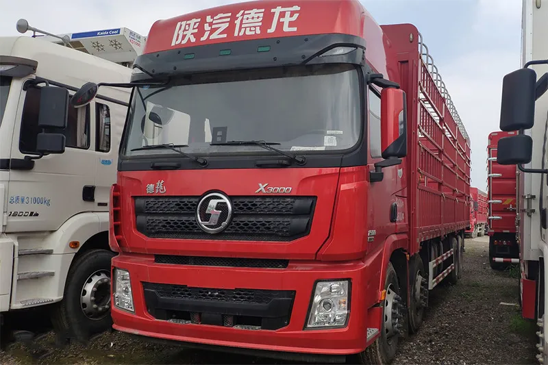 Shacman Cargo Truck