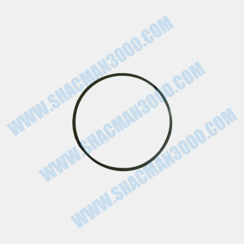 Seal Ring for Shacman X5000