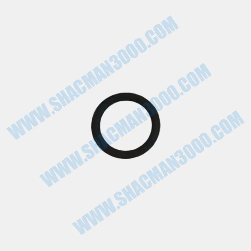 Assembled Sealing Washer for Shacman X5000