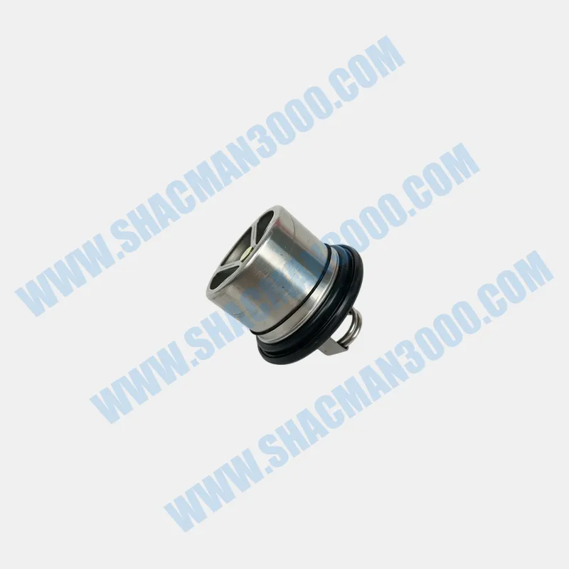 Thermostat for Shacman X5000