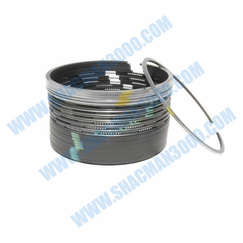 Anillo de control de aceite con resorte 612600030037