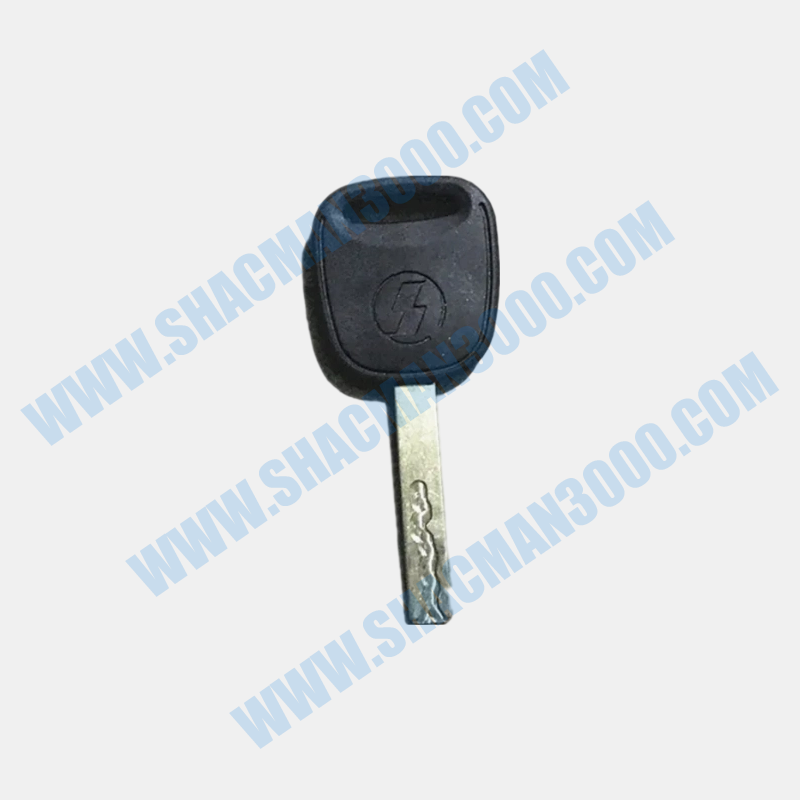 Steering Wheel Lock Cylinder Assembly DZ97189460203