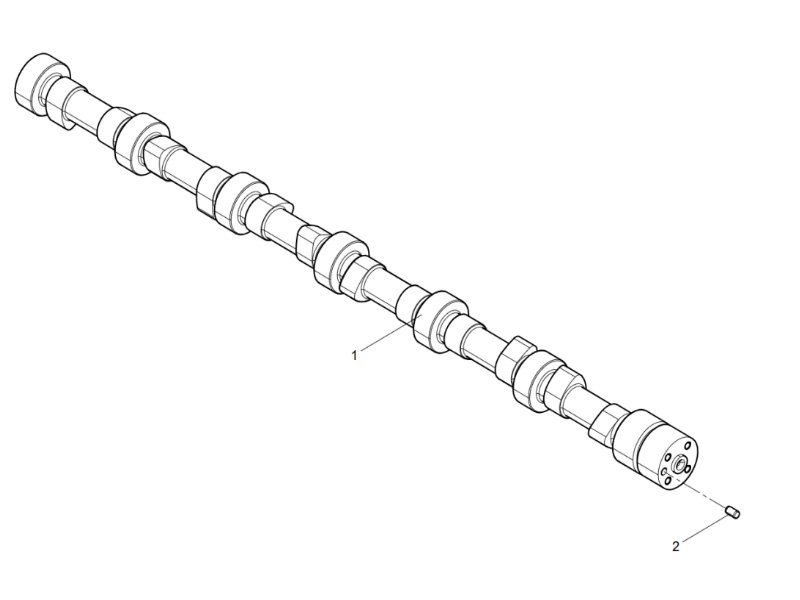 Shacman WP12 Camshaft Assembly