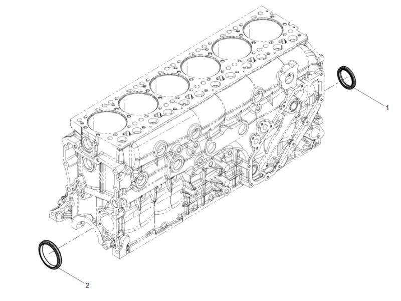 Shacman WP12 Oil Seal Group