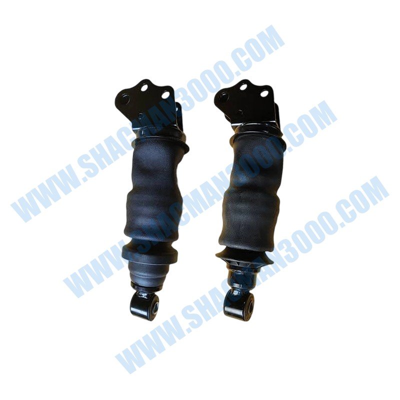 Conjunto de resorte neumático DZ15221440800