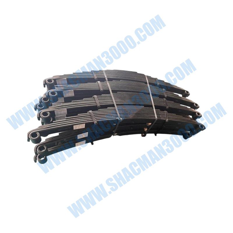 Conjunto de ballestas traseras DZ97189520400