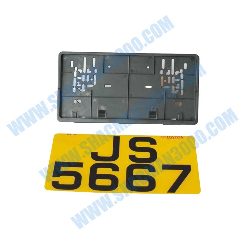 Placa de matrícula trasera DZ97189941101
