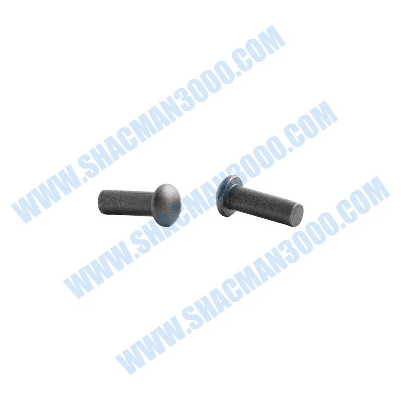 Remache de cabeza redonda Q4501234