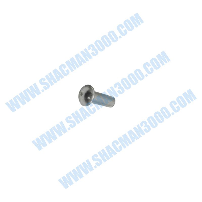 Remache de cabeza redonda alta anticorrosión F62 Q4501432