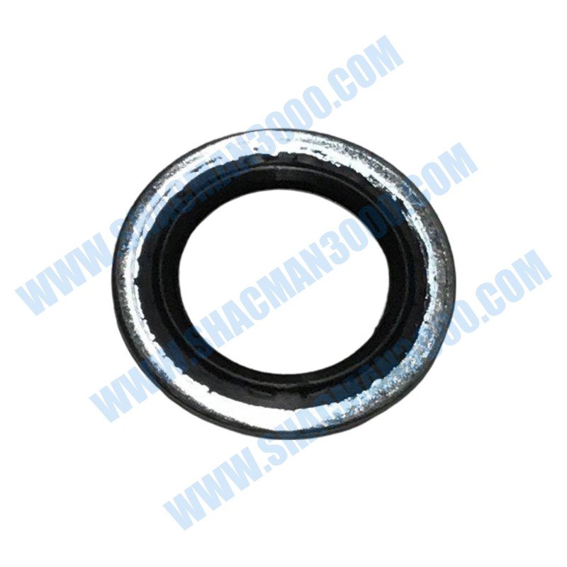 Washer,Sealing 3963988X