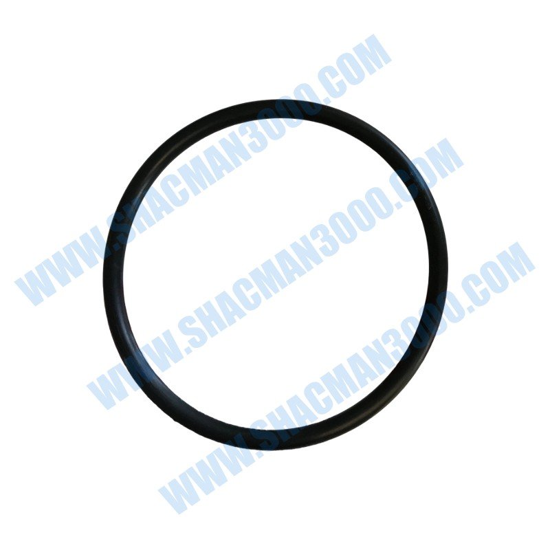 Seal,O Ring 5558723X