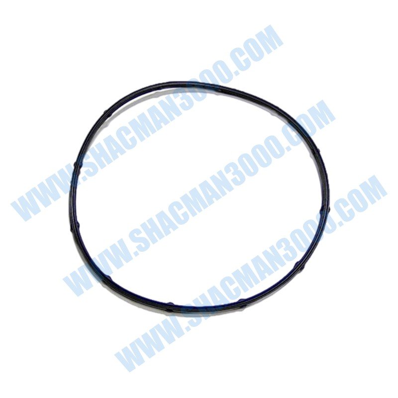 Seal,Camshaft Cover 5664317X