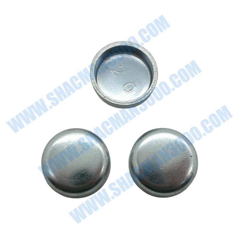 Plug,Expansion C3007634X