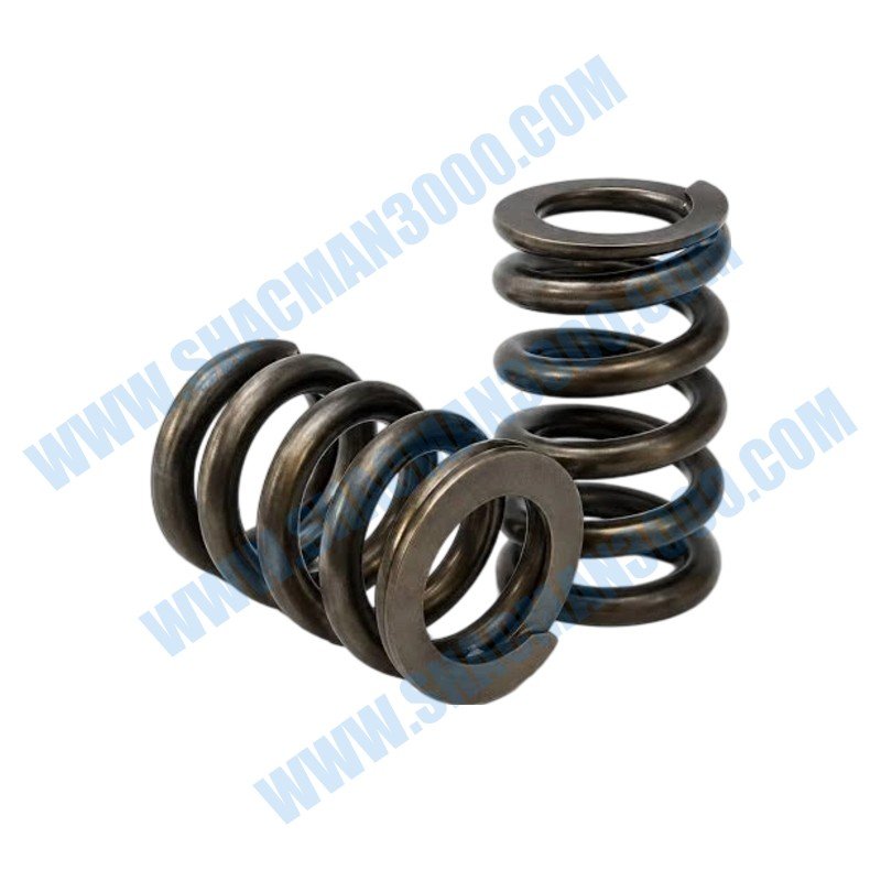 Spring,Valve C6310916X