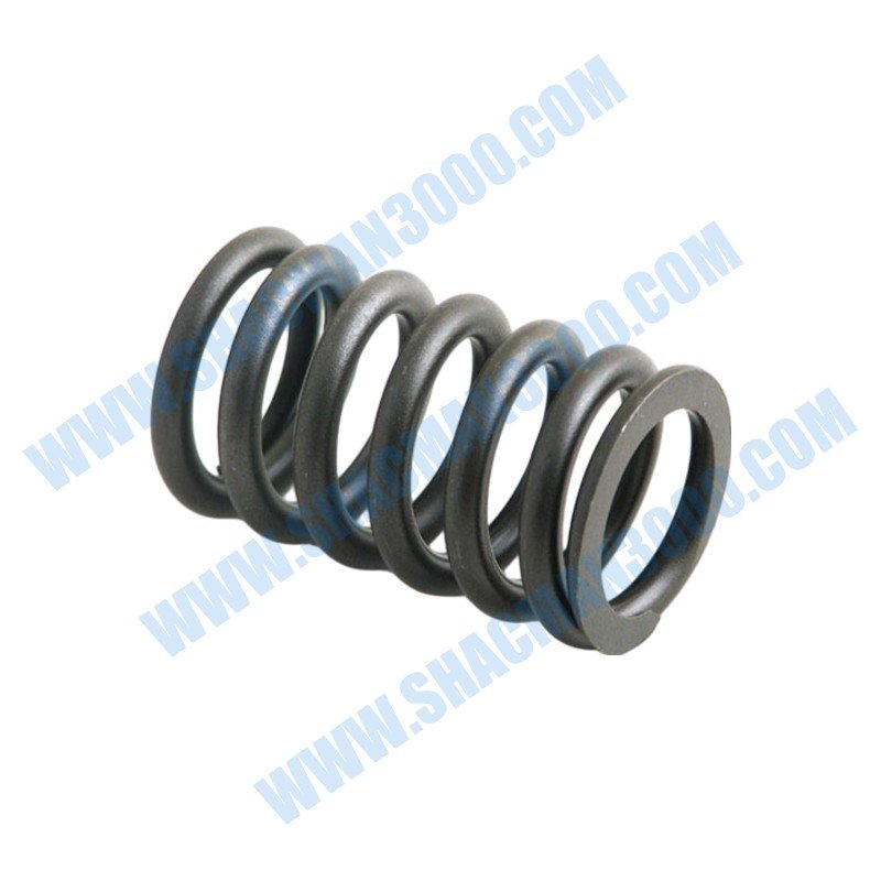 Spring,Valve C6310940X