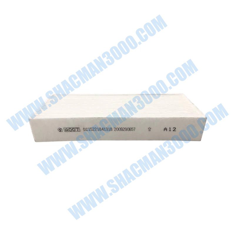 Filtro de circulación interna de aire acondicionado DZ15221841318