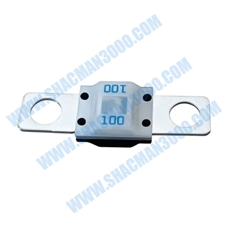 Fusible 100A DZ93189712135