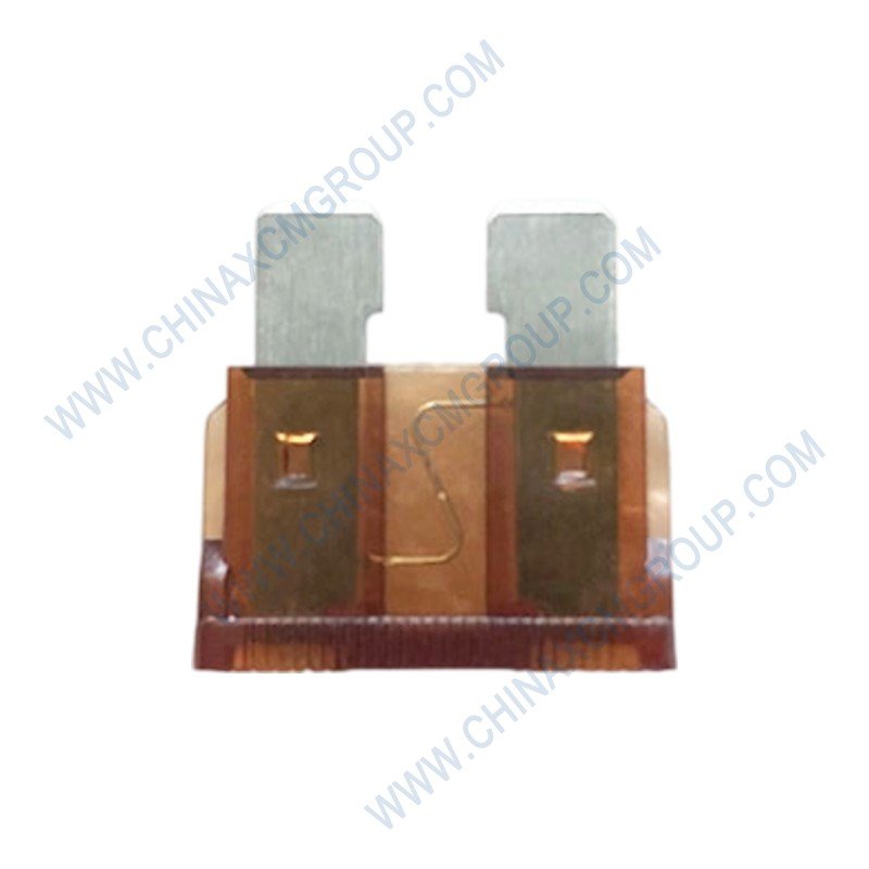 Fusible 5A DZ96189581015