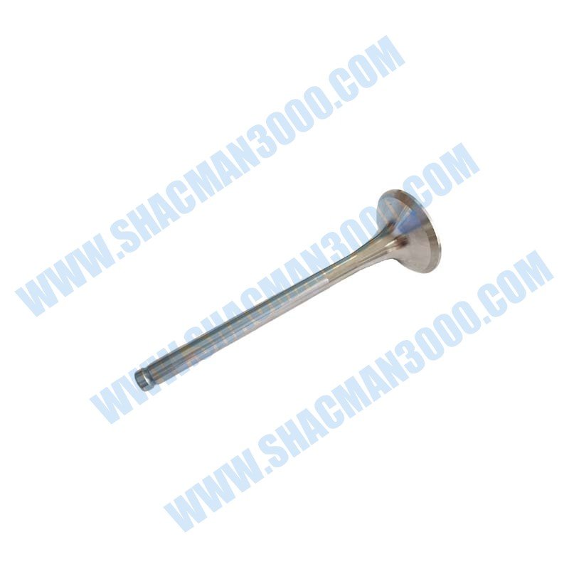 612600050073 Timing Balves