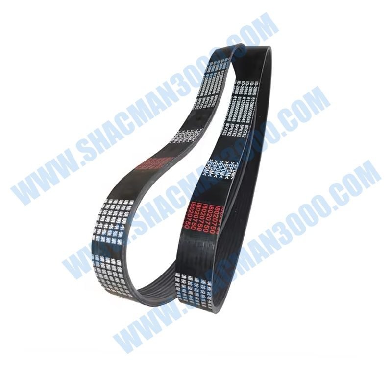 612600090646 Belt