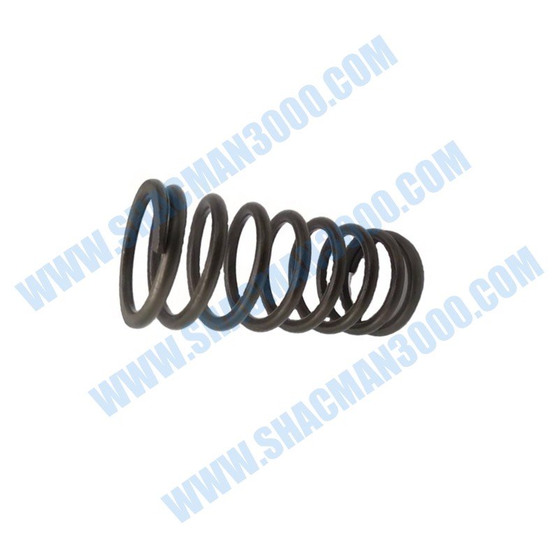 61500050001 Valve Inner Spring