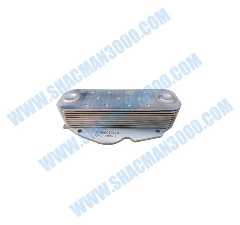 61800010113 Oil Cooler Core
